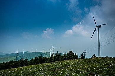 老外玩家意外找回被盗10年Steam账号 账号被养的很肥